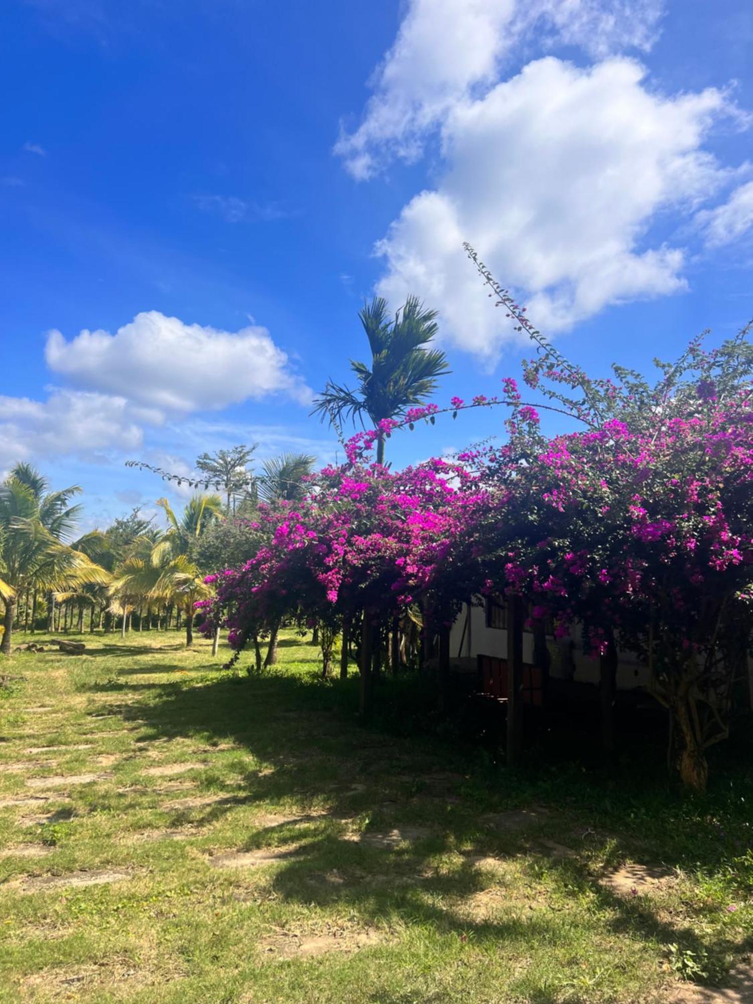 Hotel Komleo Farm Buôn Ma Thuột Zewnętrze zdjęcie