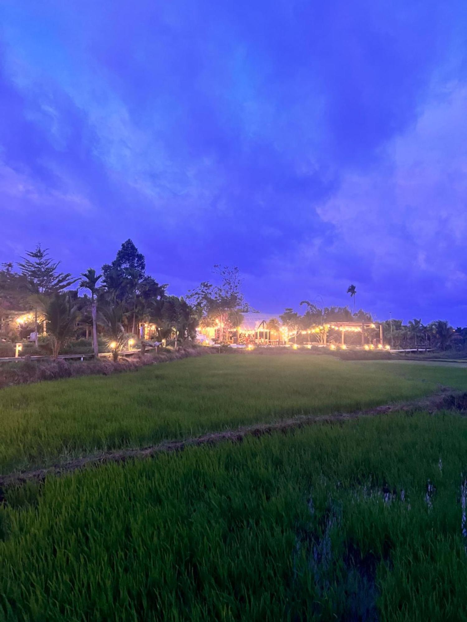 Hotel Komleo Farm Buôn Ma Thuột Zewnętrze zdjęcie